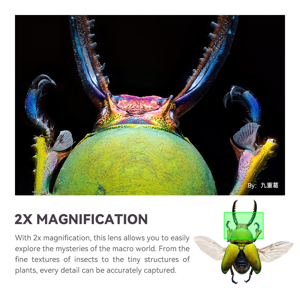 Iridescent stag beetle head at 2x magnification, sample from the TTArtisan 100mm macro