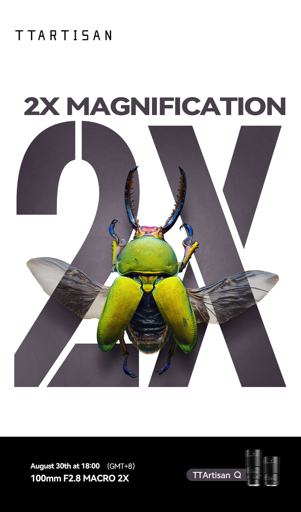 Green stag beetle with spread wings, 2x magnification launch image for the TTArtisan 100mm macro