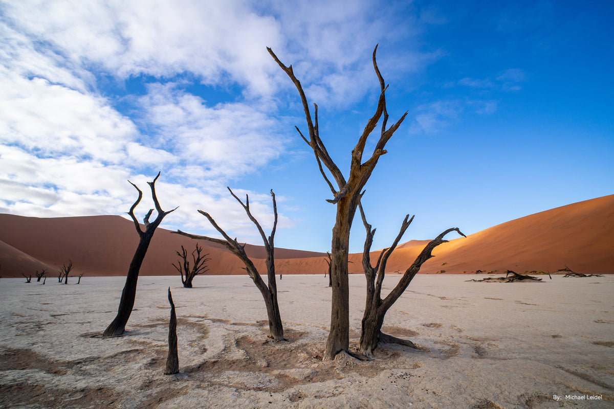 Dead trees and red dunes in Deadvlei, landscape sample from the TTArtisan 10mm f/2