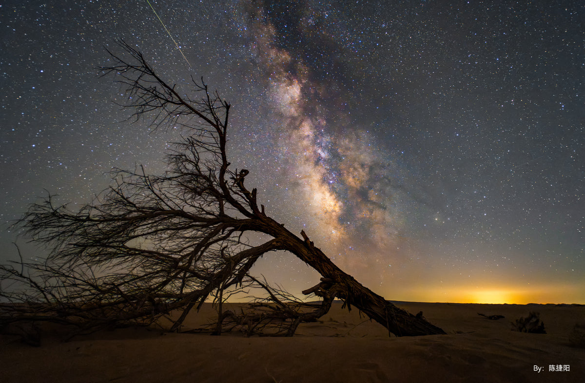 Milky Way over a fallen tree in the desert, night sample from the TTArtisan 10mm f/2