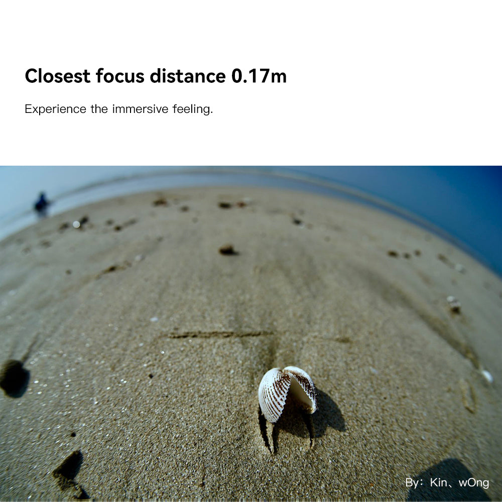 Seashell on sand at 0.17m close focus, TTArtisan 11mm fisheye sample