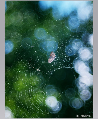 Spider web with dew and blue bokeh, TTArtisan 100mm f/2.8 sample