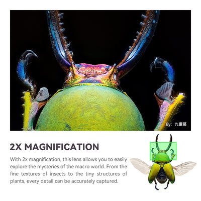 Iridescent stag beetle head at 2x magnification, sample from the TTArtisan 100mm macro