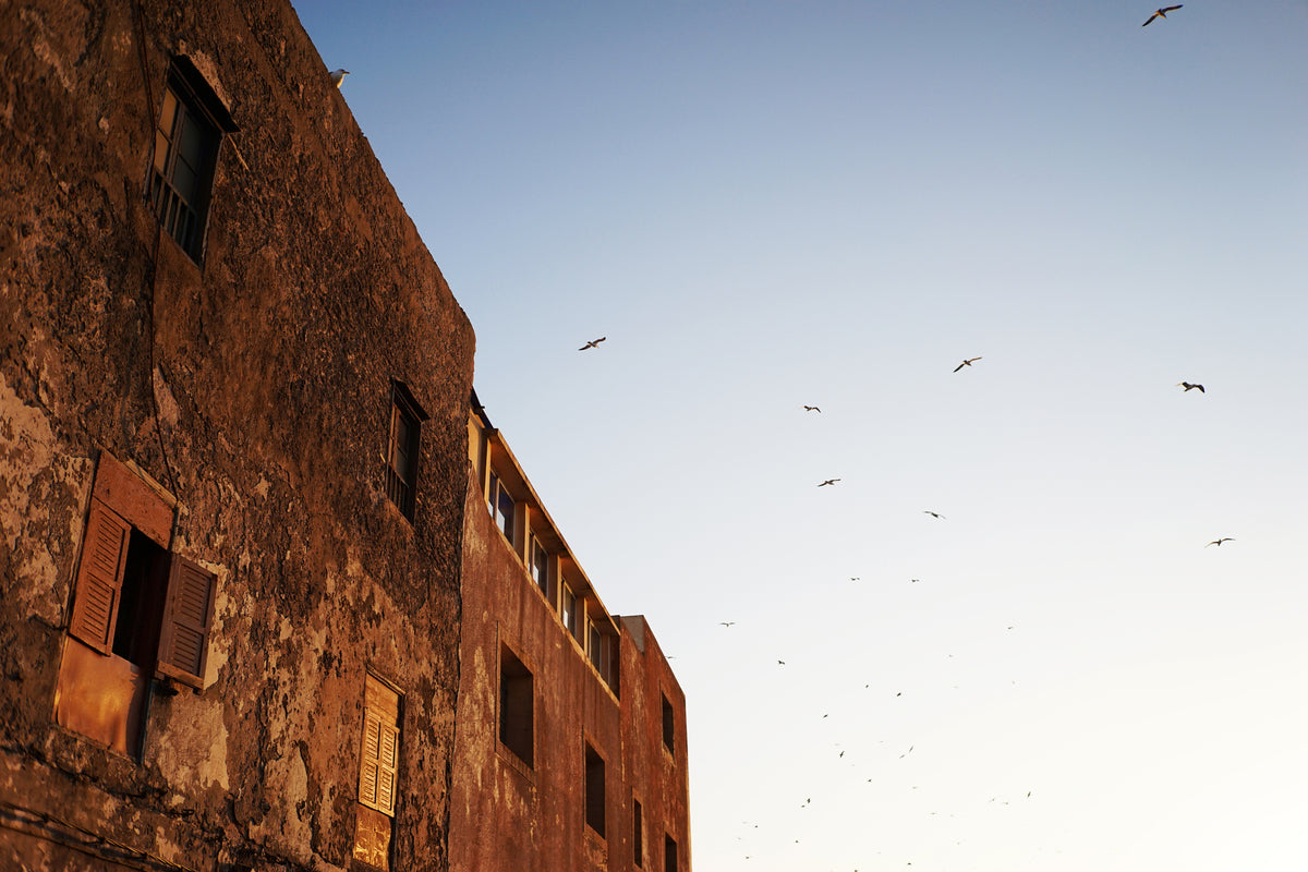 Old building and flying birds at sunset, sample photo from the Voigtlander Nokton Classic 35mm