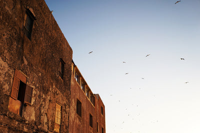 Old building and flying birds at sunset, sample photo from the Voigtlander Nokton Classic 35mm