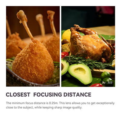 Fried chicken lollipops and roast chicken, close-focus samples from the TTArtisan 100mm macro