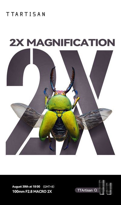 Green stag beetle with spread wings, 2x magnification launch image for the TTArtisan 100mm macro