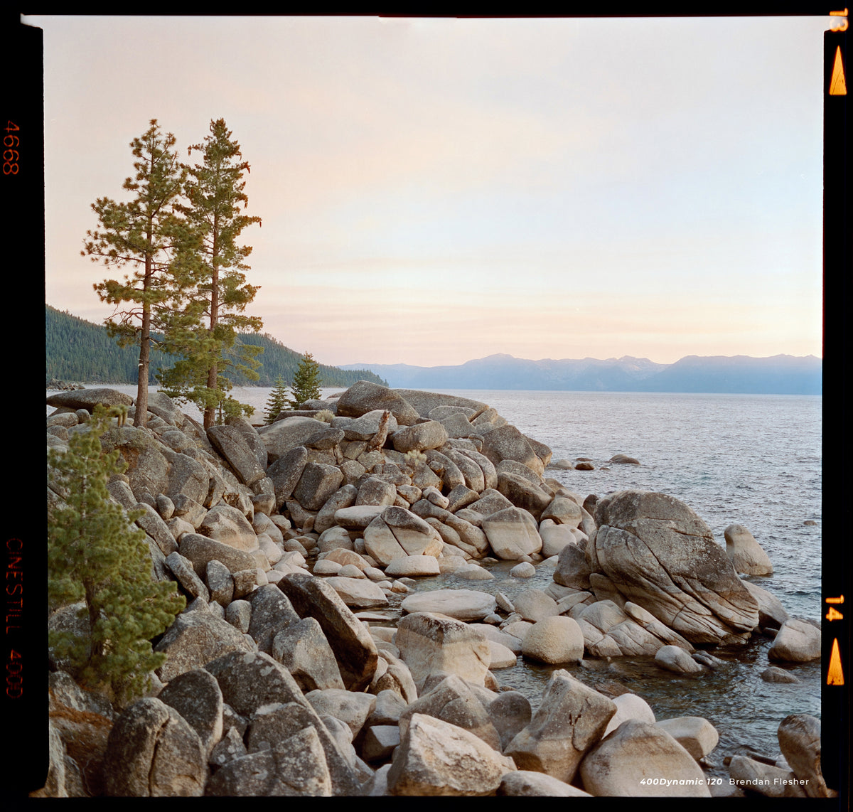 Pine trees on lakeside boulders at dusk, sample shot on CineStill 400D