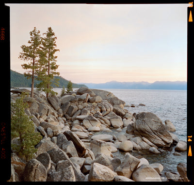 Pine trees on lakeside boulders at dusk, sample shot on CineStill 400D