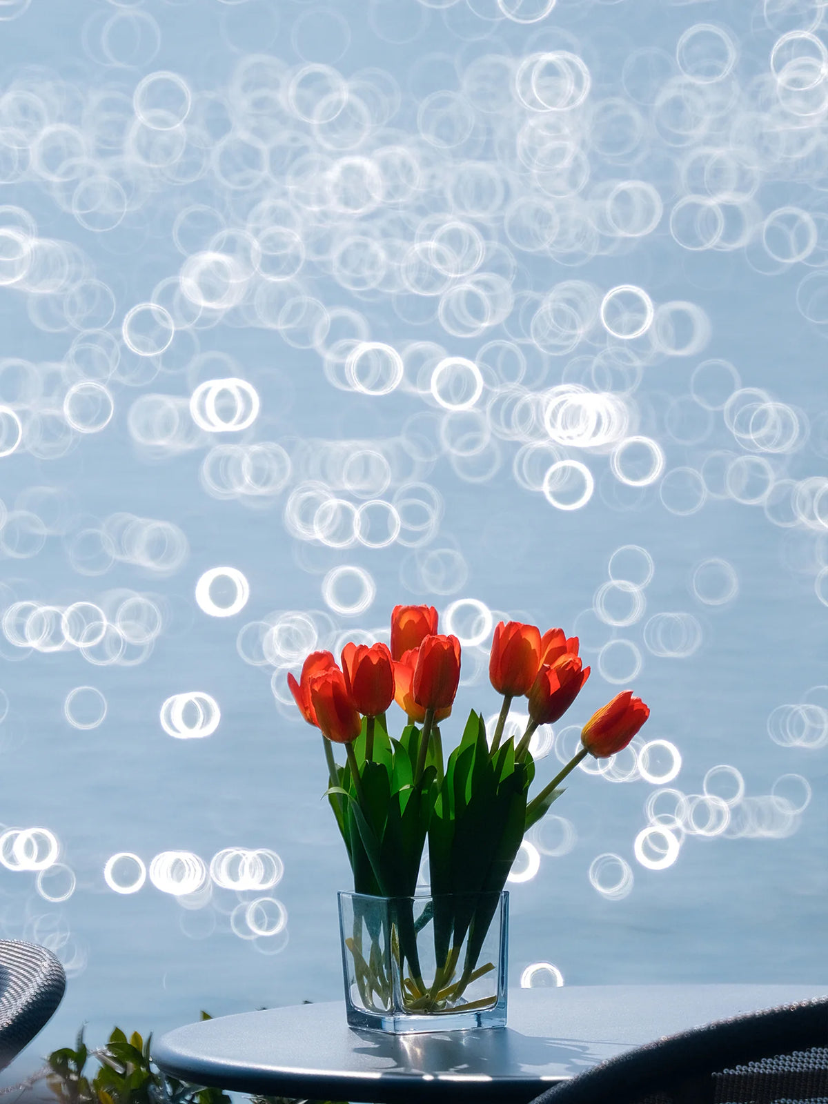 Vase of orange tulips against sparkling water bokeh, TTArtisan 250mm f/5.6 sample