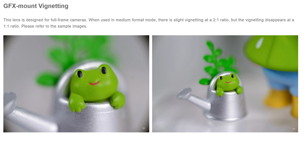 Frog figurine in a watering can, GFX vignetting samples from the TTArtisan 100mm macro