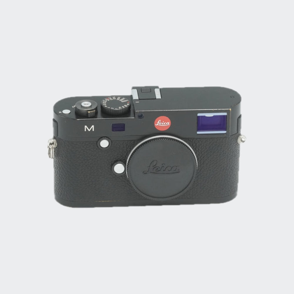 cat digital cameras