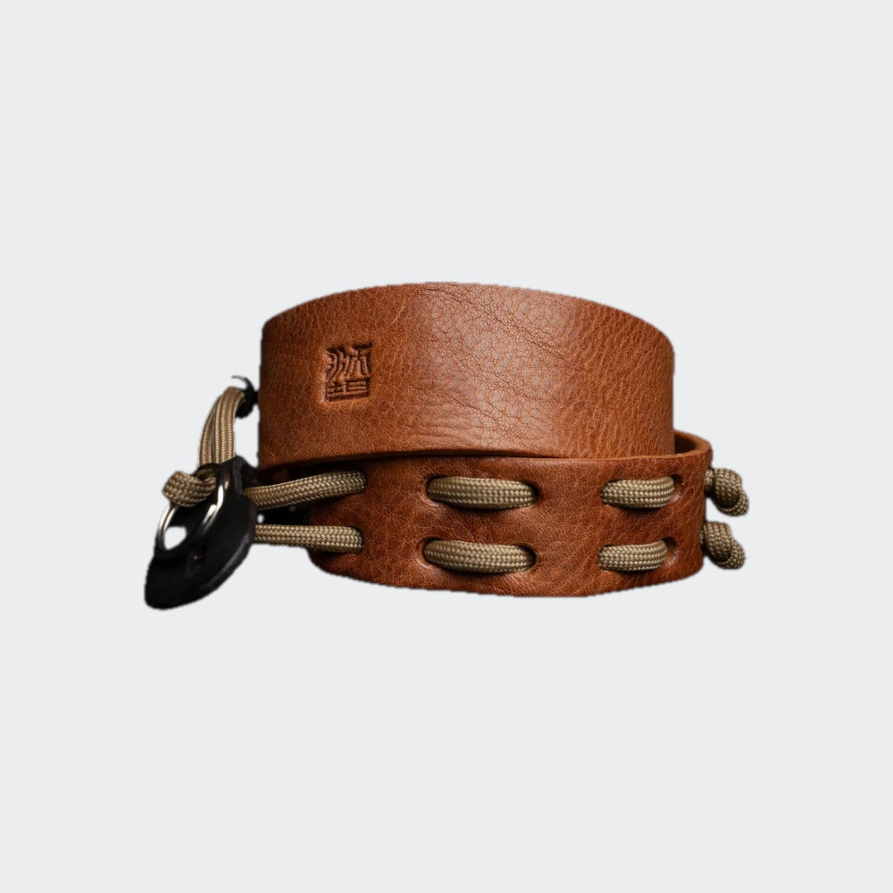 cat straps