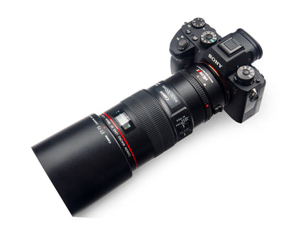 Sony A9 with a Canon EF 100mm macro lens on the Viltrox EF-NEX IV adapter