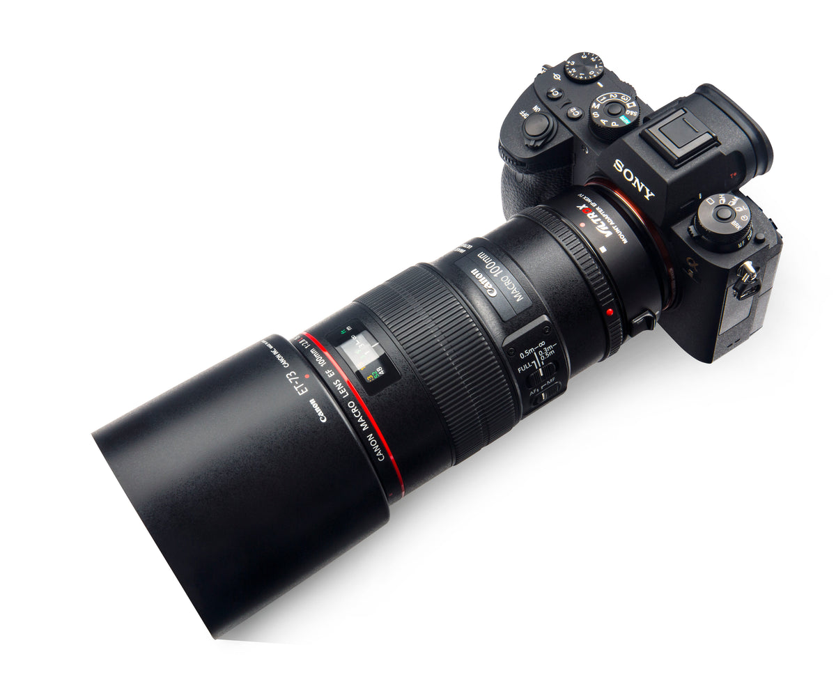 Sony A9 with a Canon EF 100mm macro lens on the Viltrox EF-NEX IV adapter